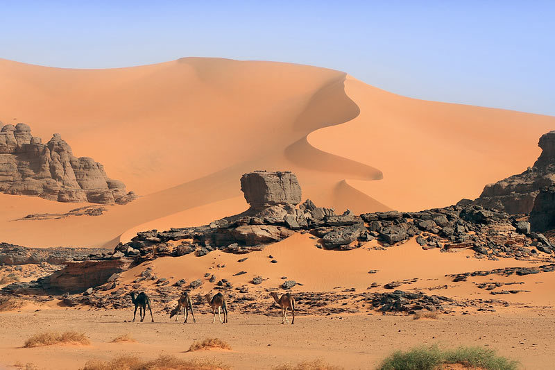 Самая большая по площади пустыня земли. Гамады сахара. Гамады – каменистые пустыни. Хамада каменистая пустыня Алжир. Сахара пустыня каменистые участки.